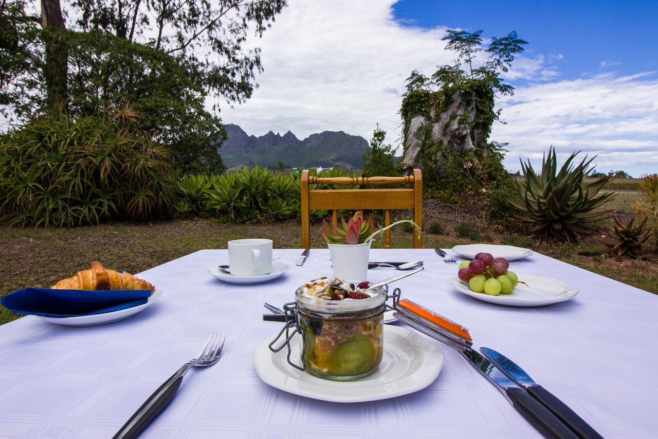 Rosenview Guest House Stellenbosch Ngoại thất bức ảnh